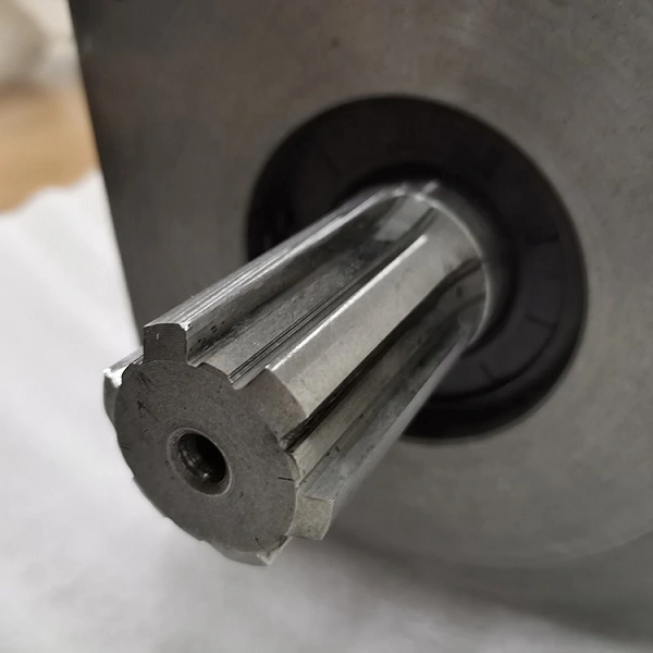 Wheel Loader Parts JHP3125/02010-XF 4120003676 Gear Pump 