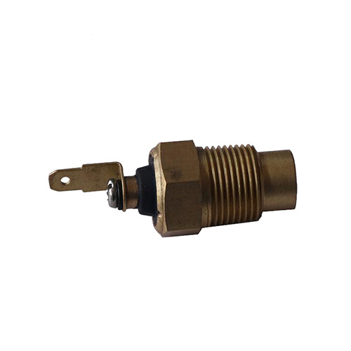 Water temperature sensor 250100117 