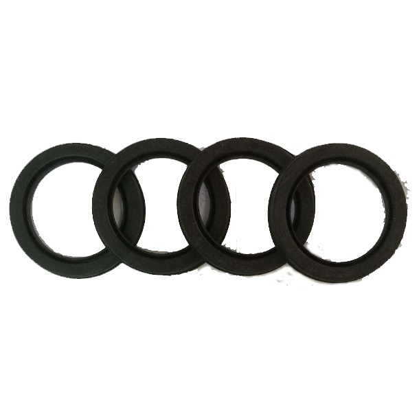 4120001739053 high quality Sealing rings 
