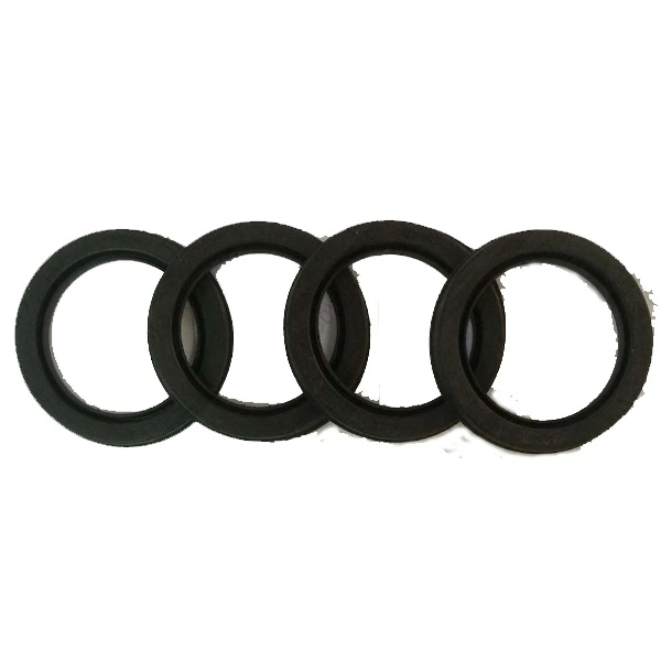 4120001739053 high quality Sealing rings 