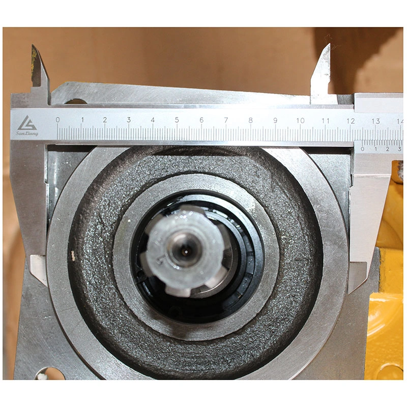 CBGj2050-2050 9D650-56A030000A0 9D20-593100 Gear pump FOR foton lovol fl936f spare parts 