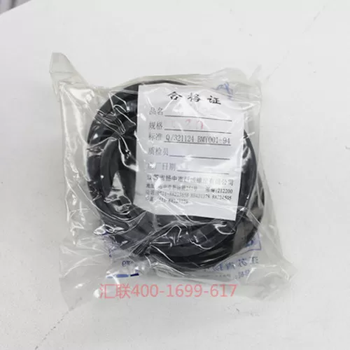 Chenggong brake caliper Repair Kit 