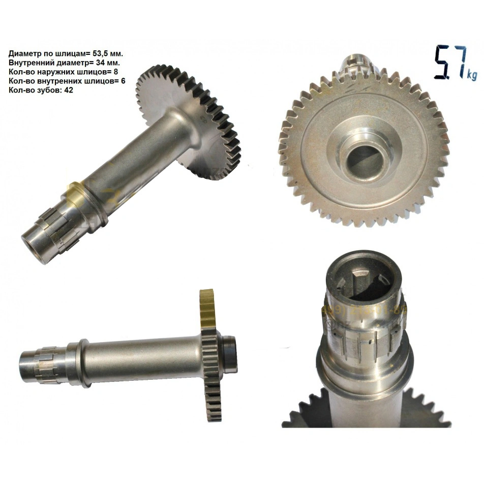 Transmission pump Shaft gear 30309000941 