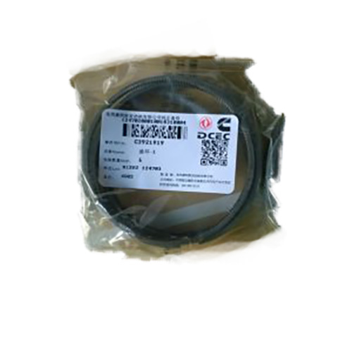 Cummins piston ring SP100700 860112792 