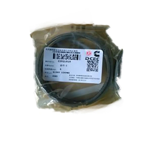 Cummins piston ring SP100700 860112792 