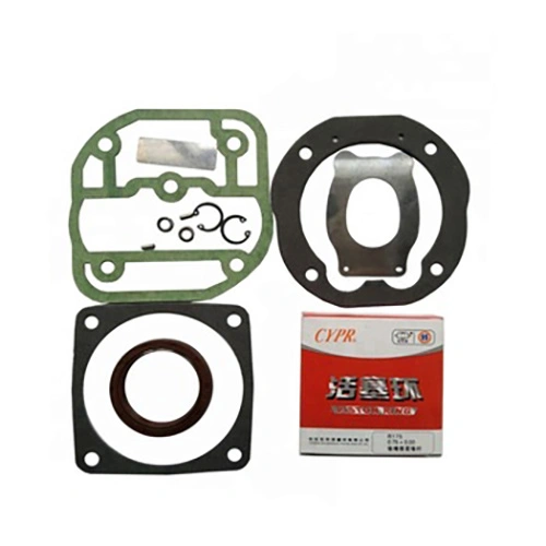 Weichai WD615 Engine Fuel injection pump repair kit 