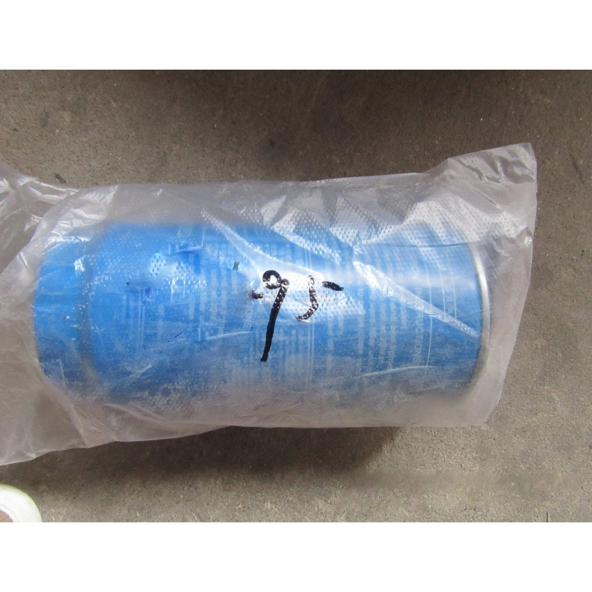 Fuel Filter 1000424916 612600081294 for WEICHAI Engine 