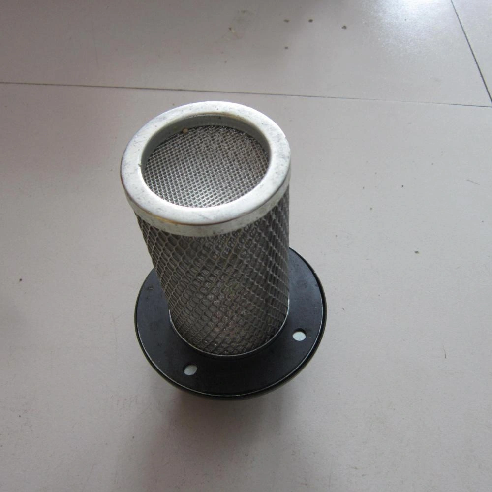 SDLG Fuel filter 4110000613 