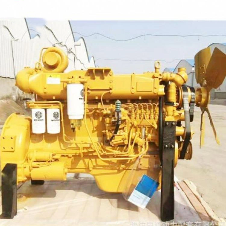 Weichai Engine Assembly WD10G220E23 
